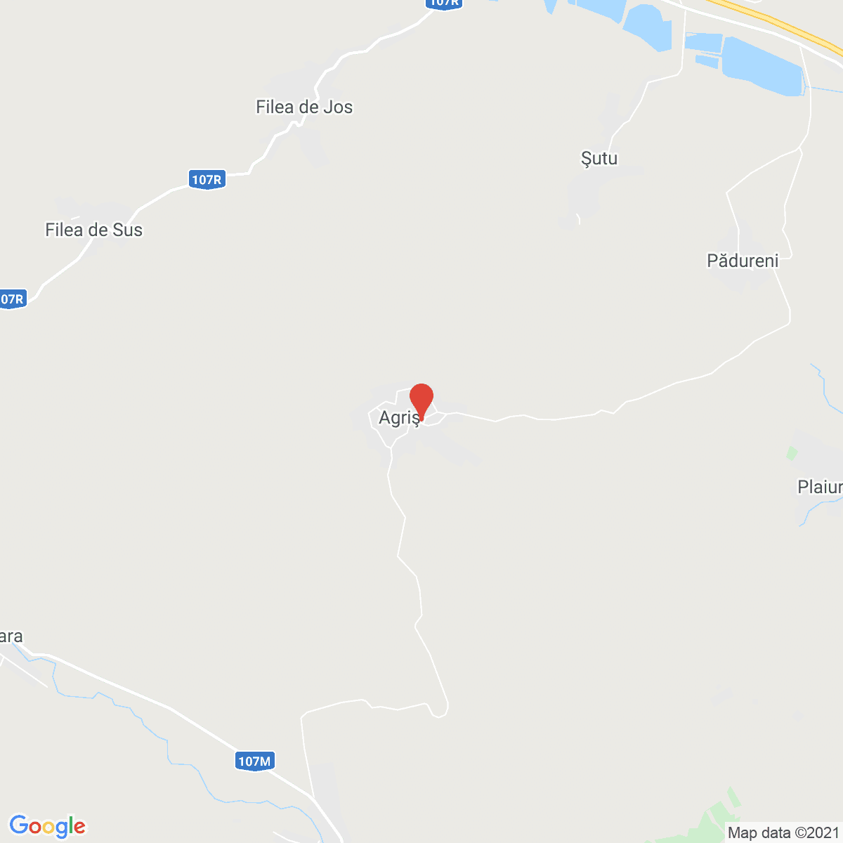 Agriș