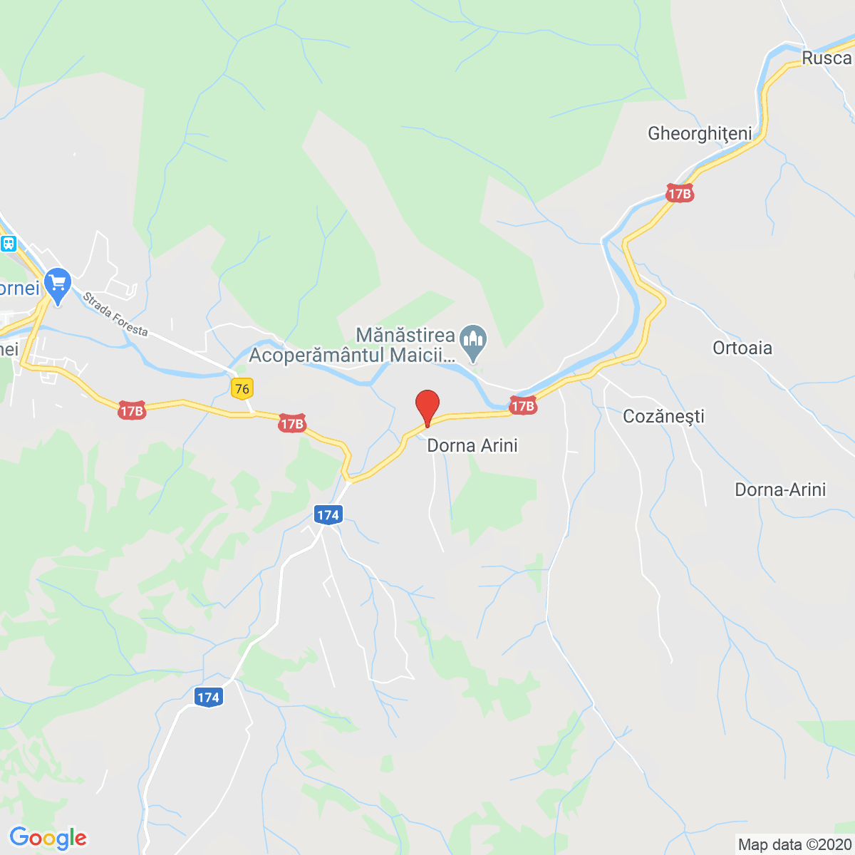 Dorna-Arini