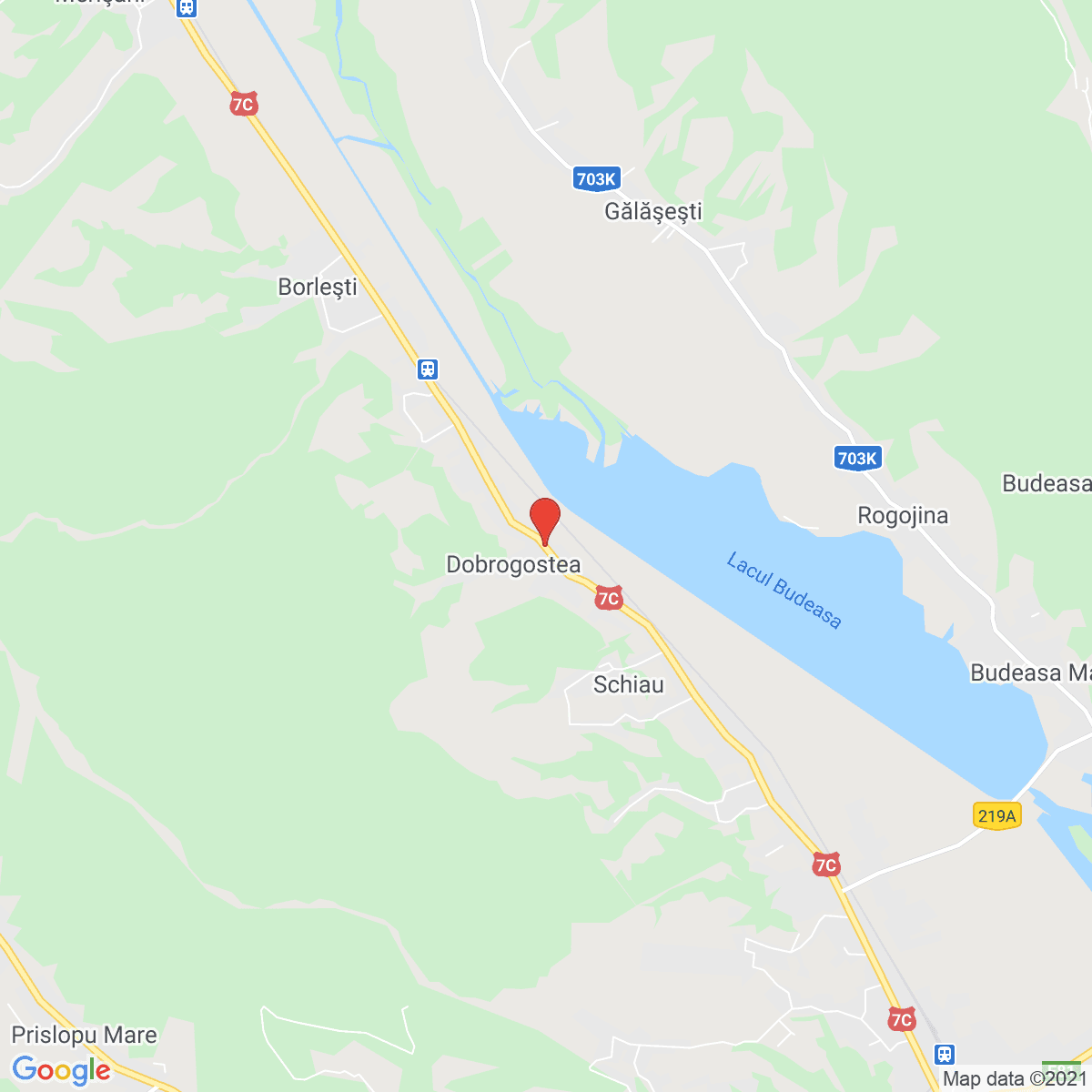 Dobrogostea