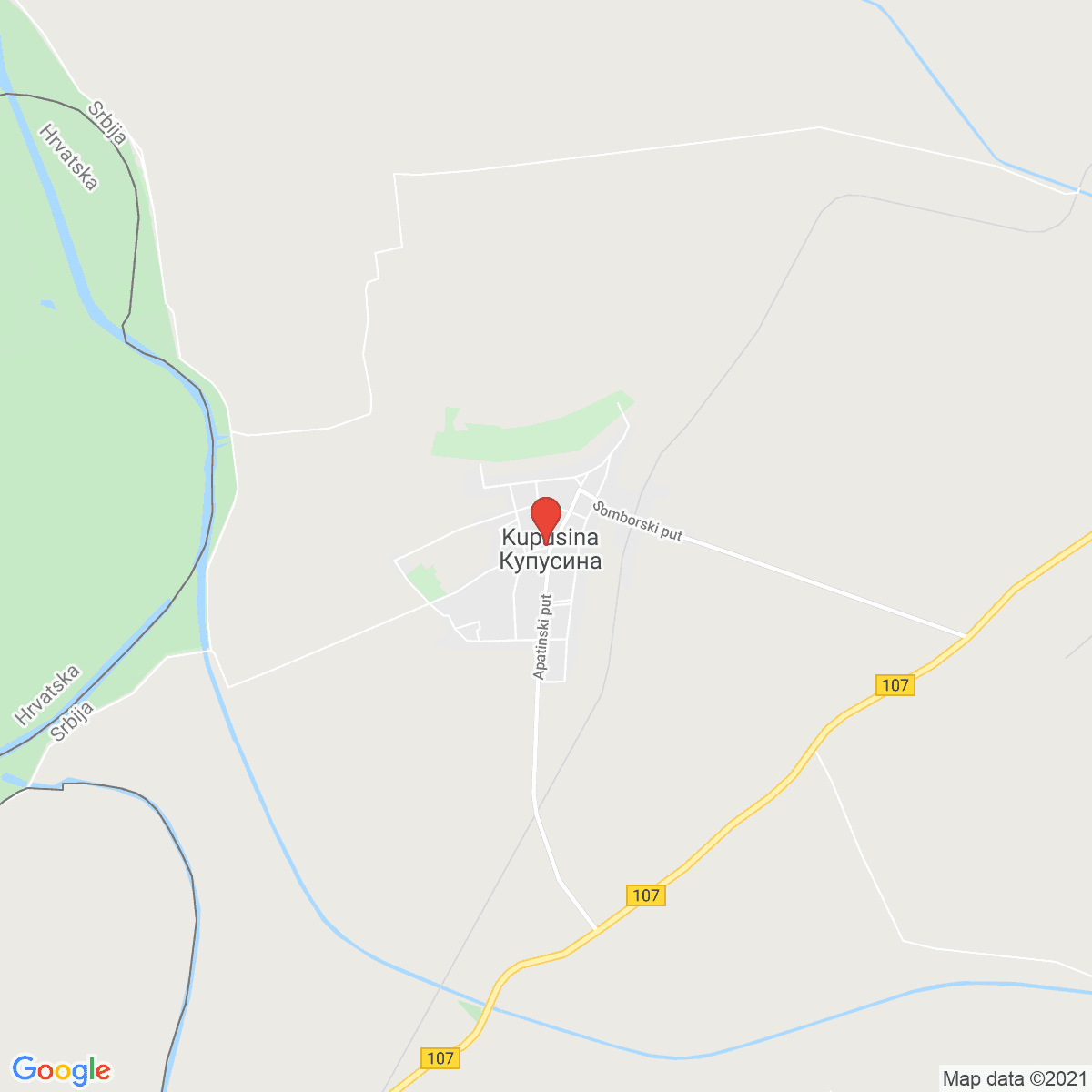 Kupusina