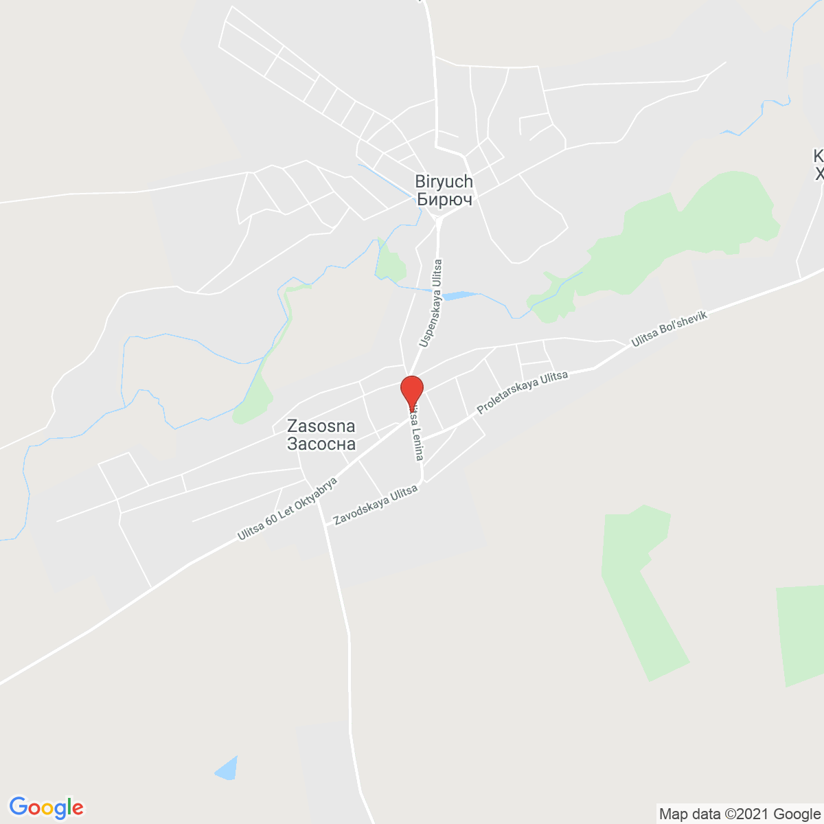 Zasosna