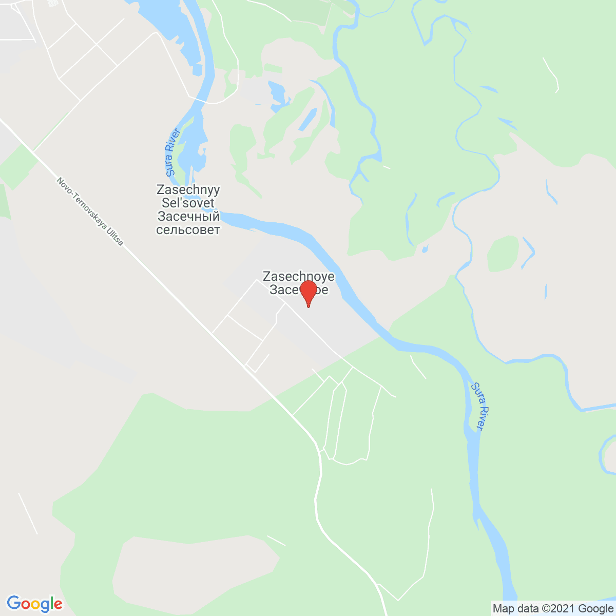 Zasechnoye