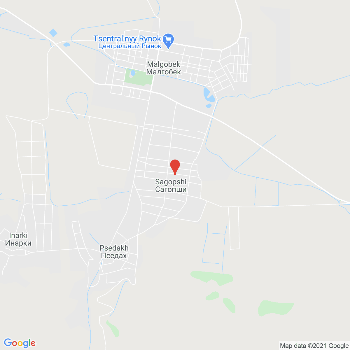 Sagopshi