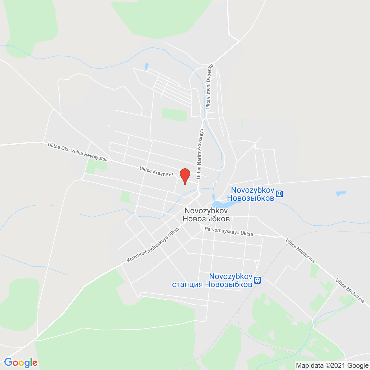Novozybkov