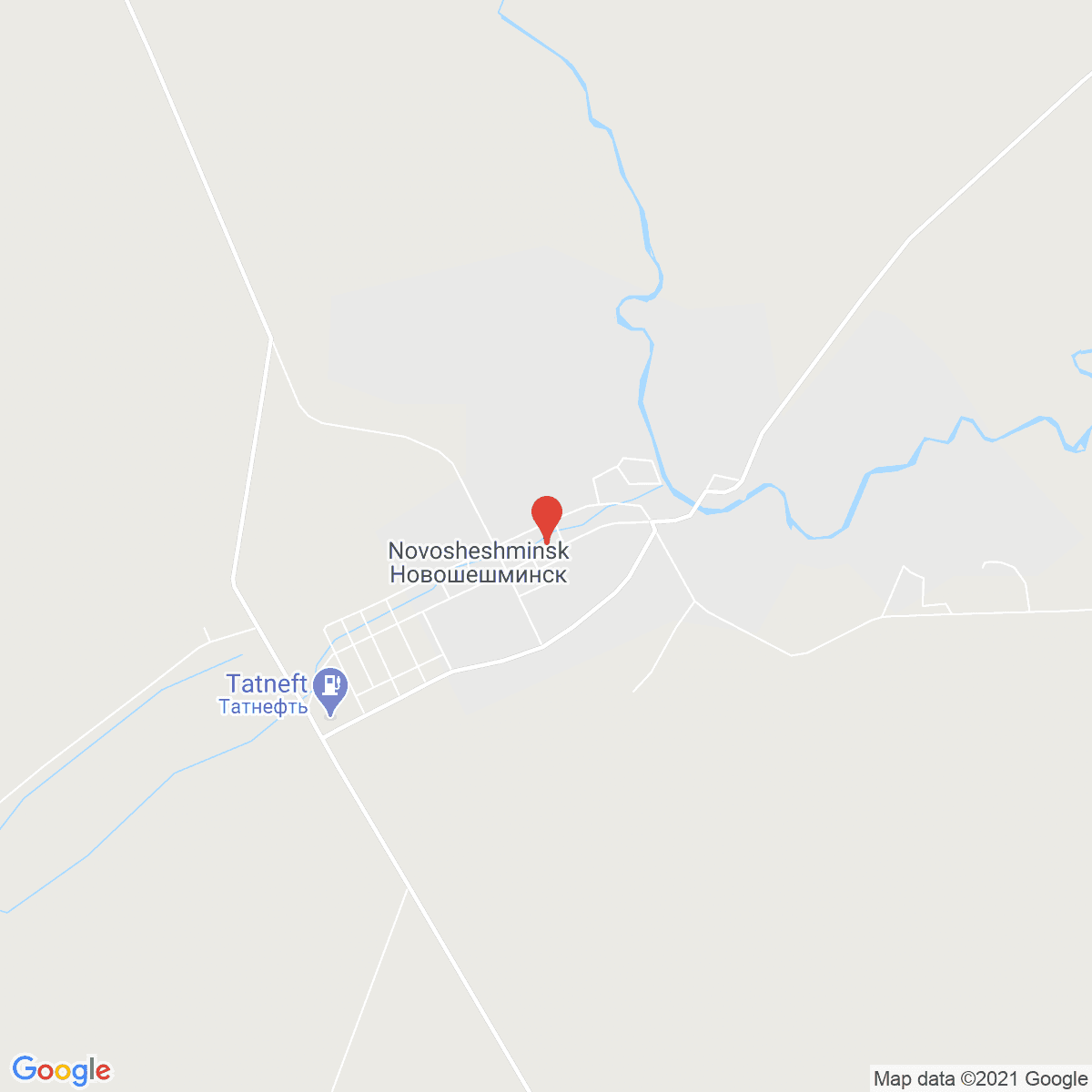 Novosheshminsk
