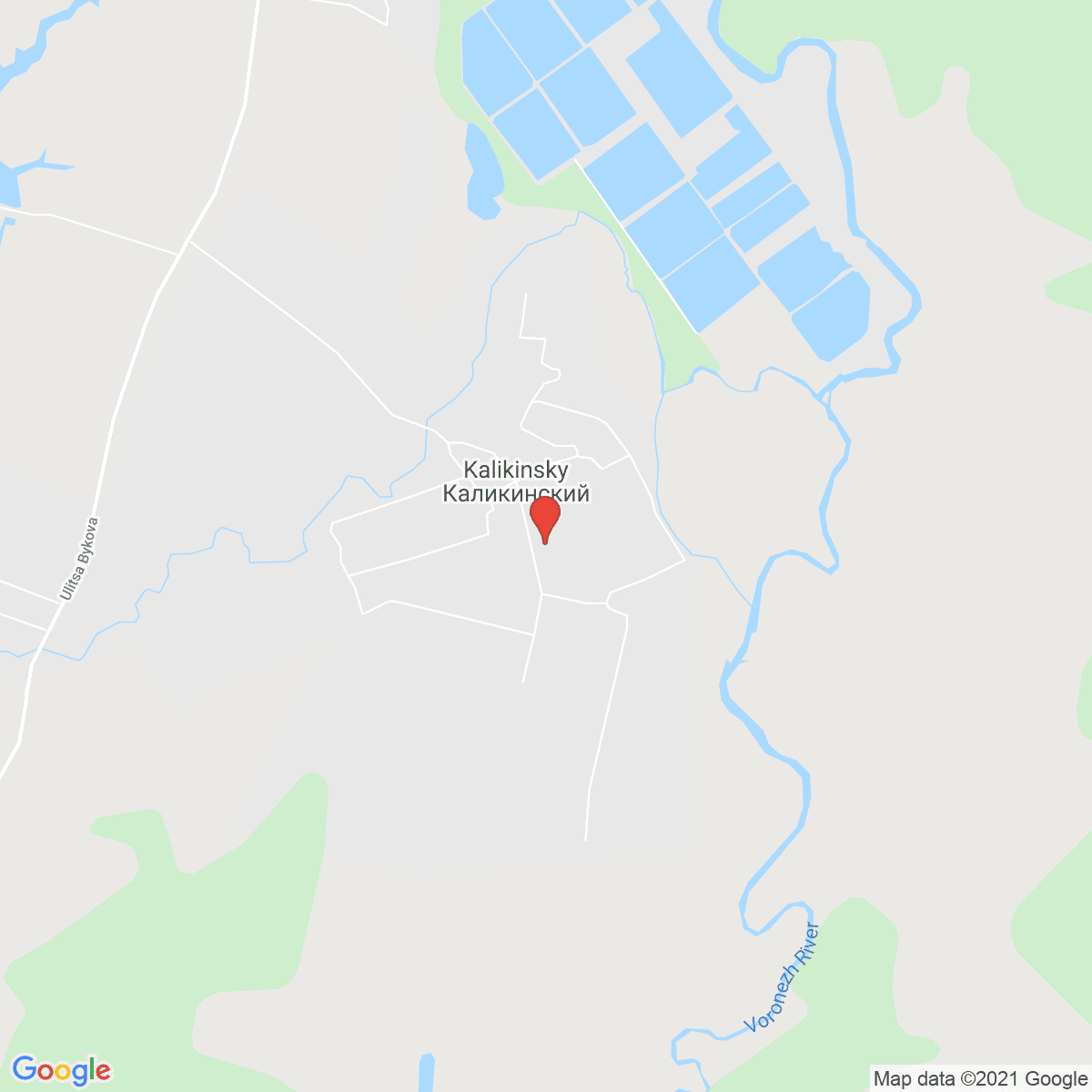 Kalikino