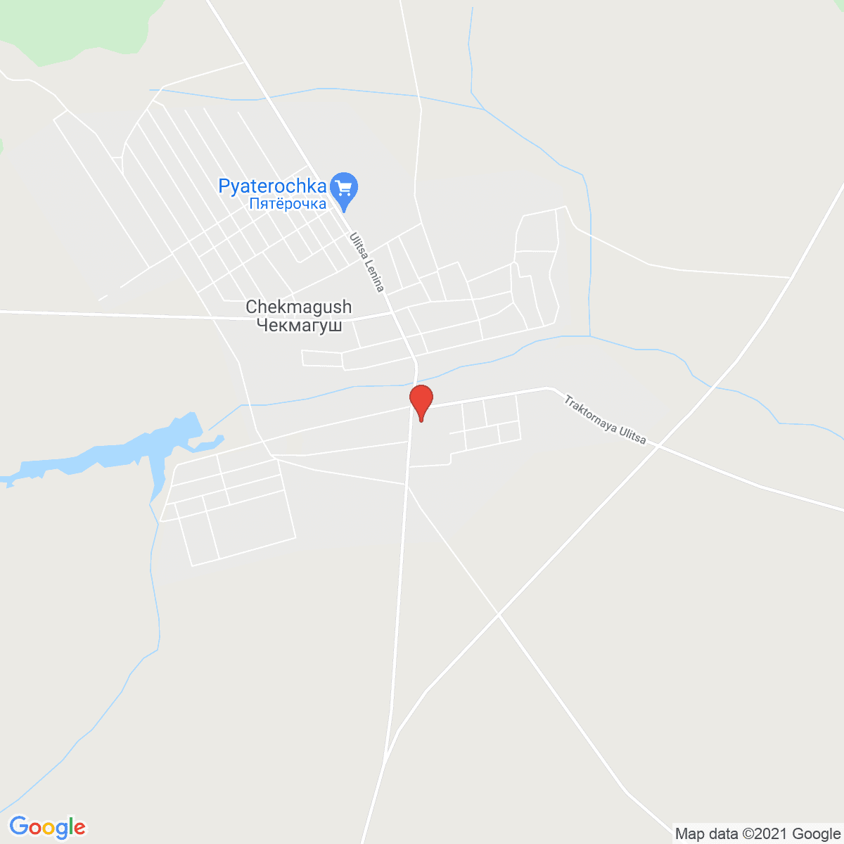 Chekmagush