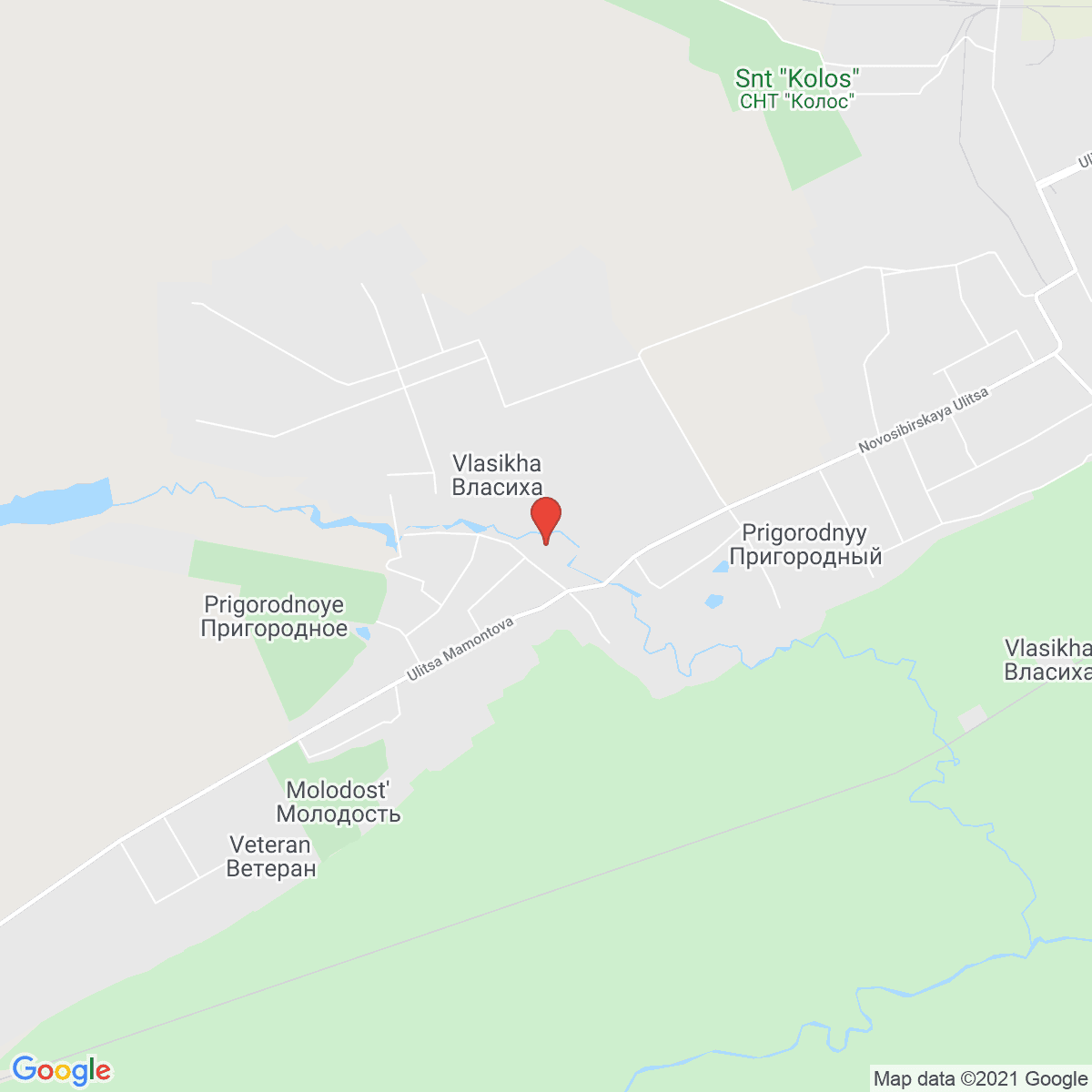 Vlasikha