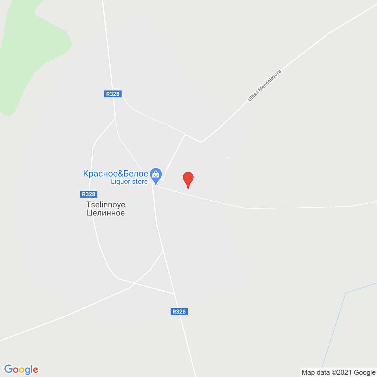 Tselinnoye