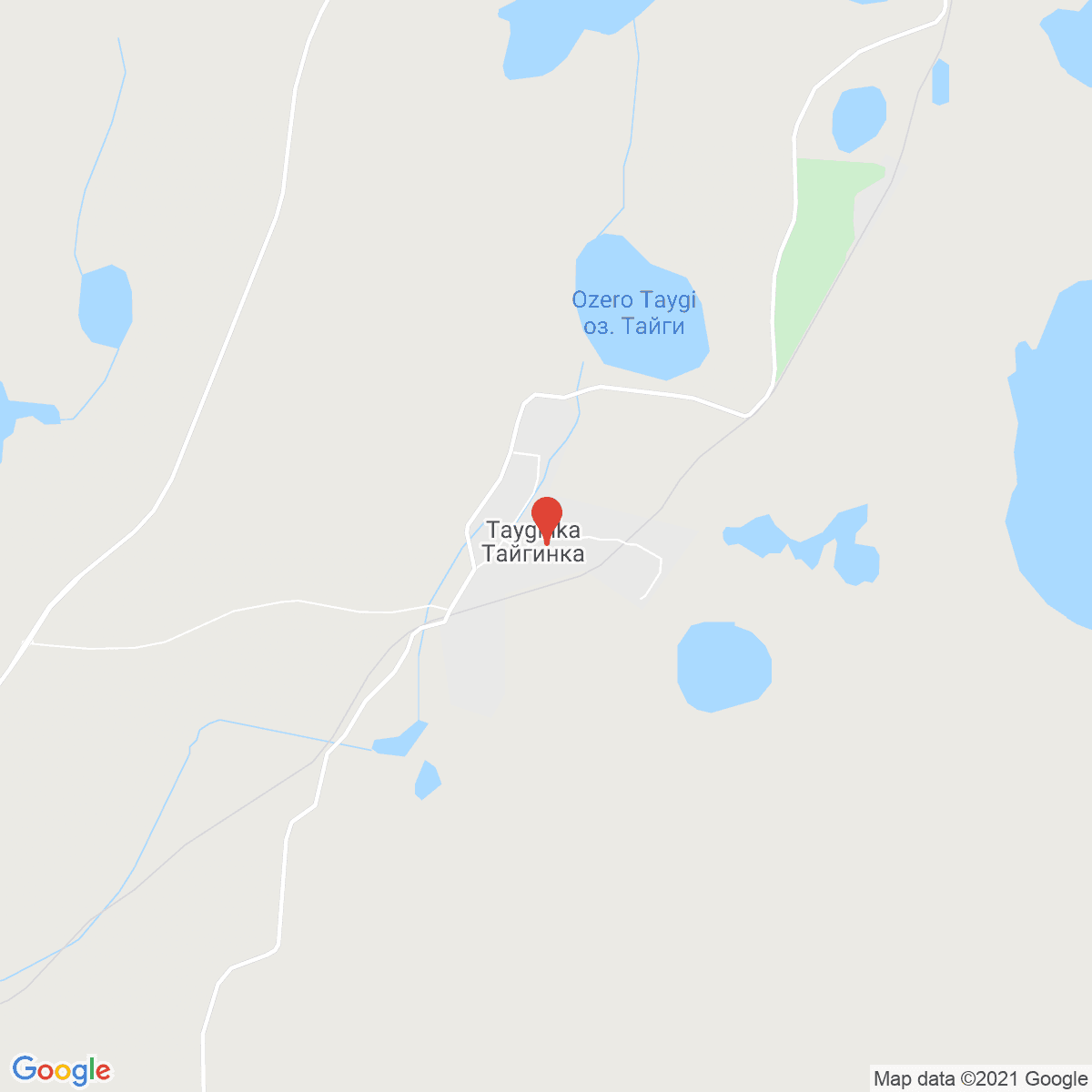 Tayginka