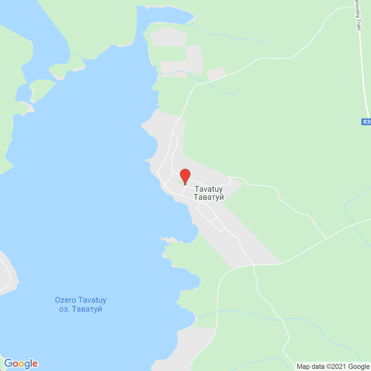 Tavatuy