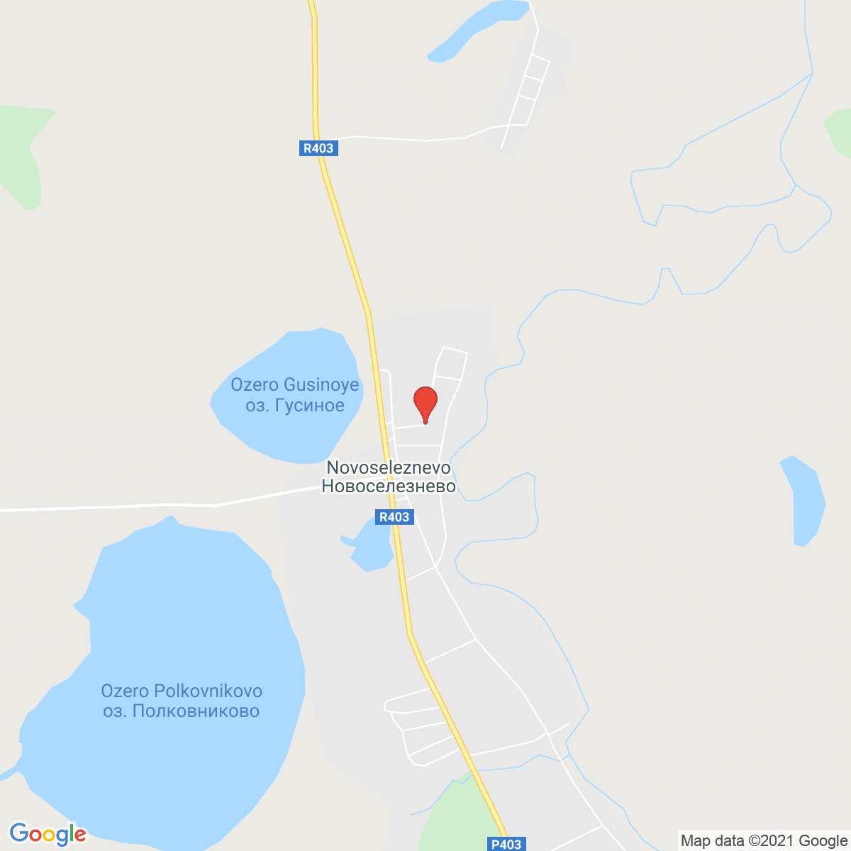 Novoseleznëvo