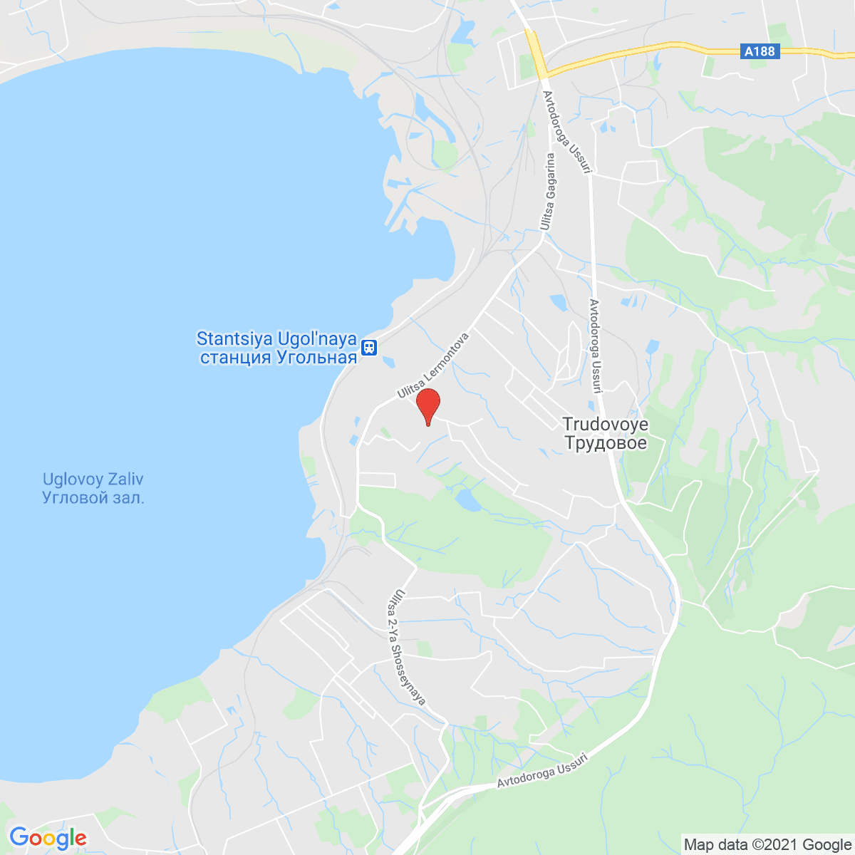 Trudovoye
