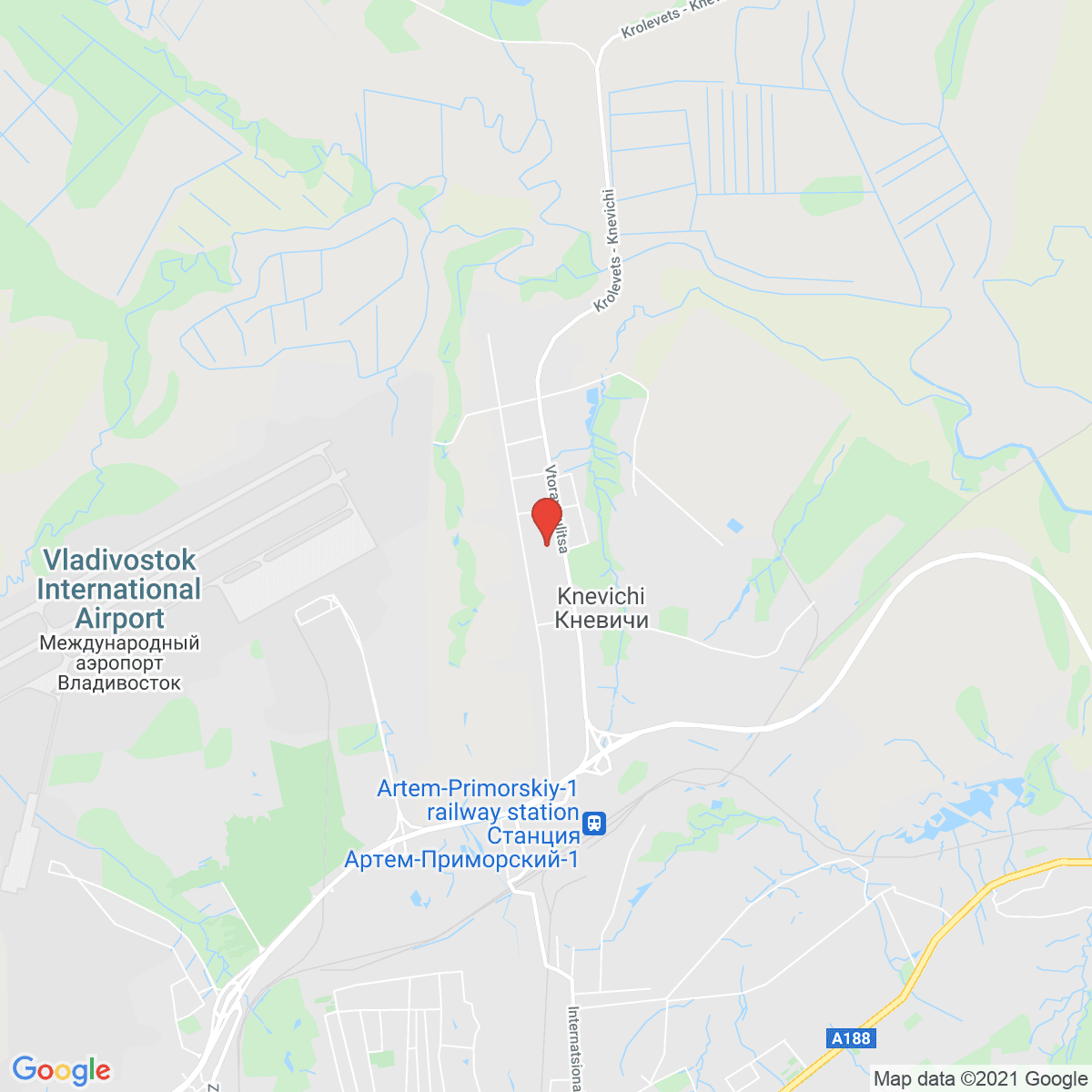 Knevichi