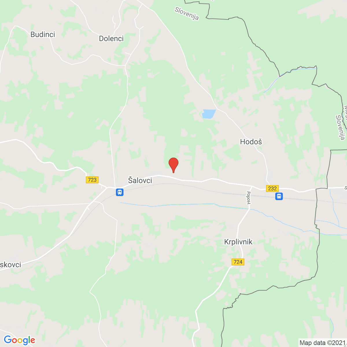 Šalovci