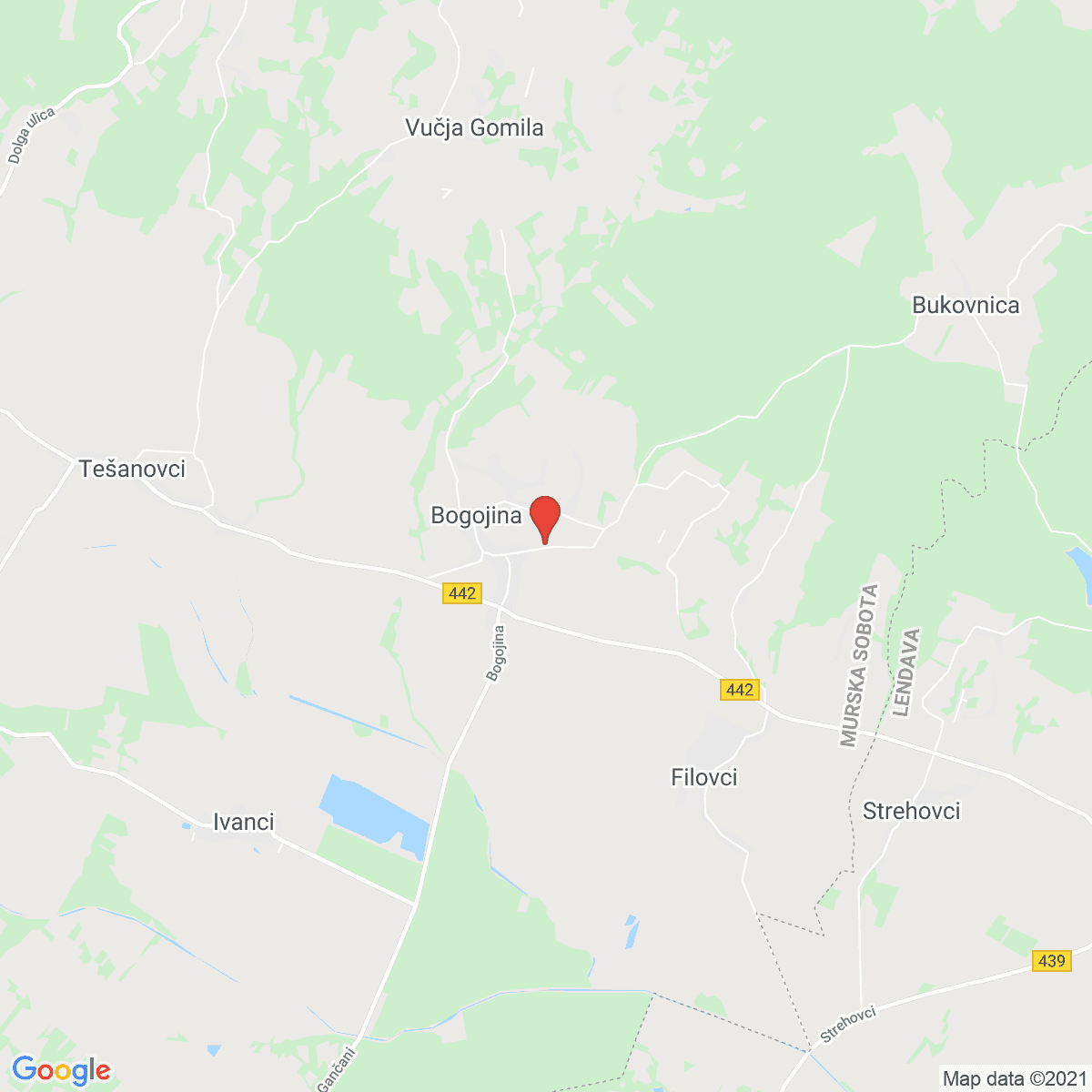 Bogojina