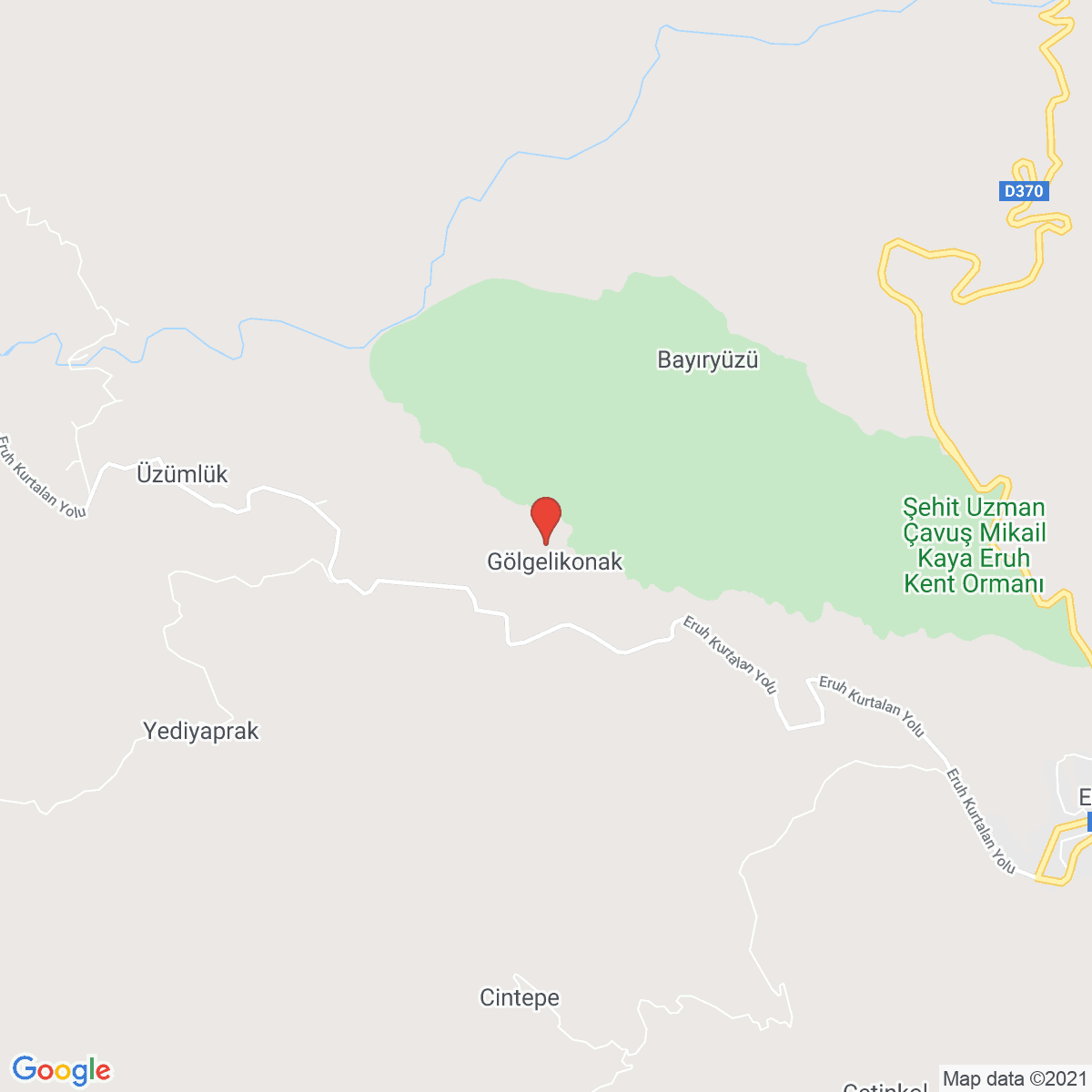 Gölgelikonak