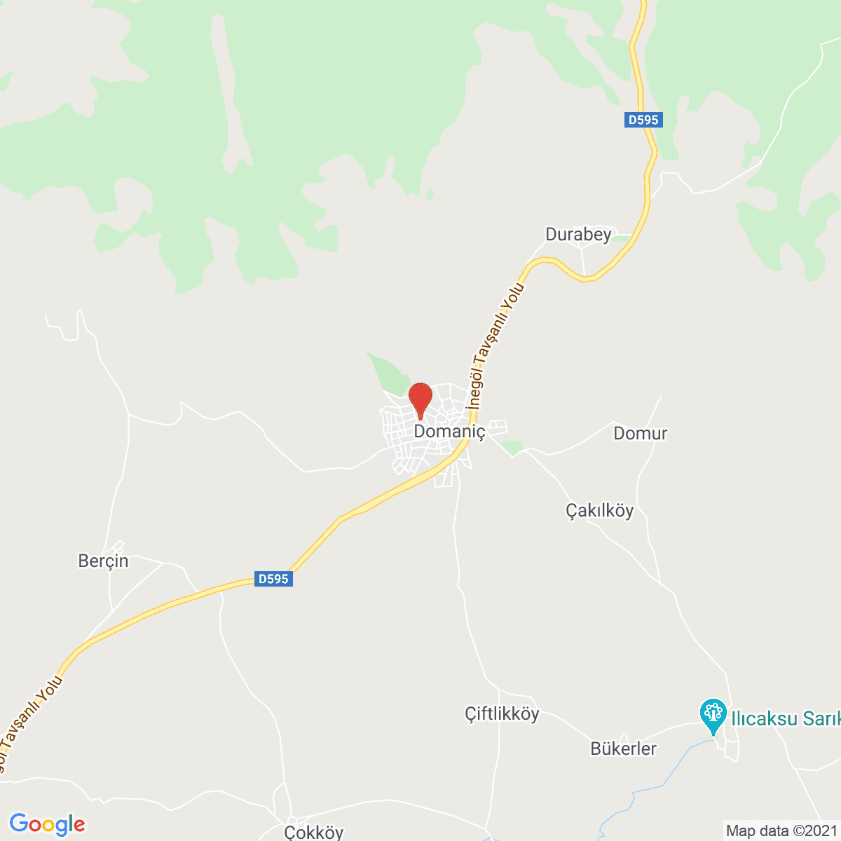 Domaniç