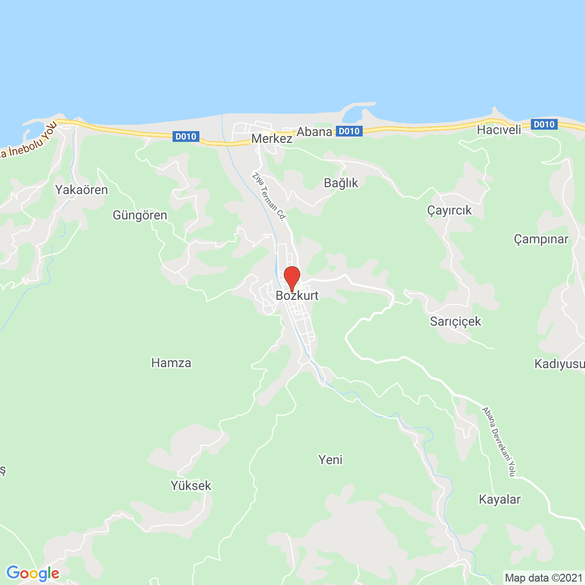 Bozkurt