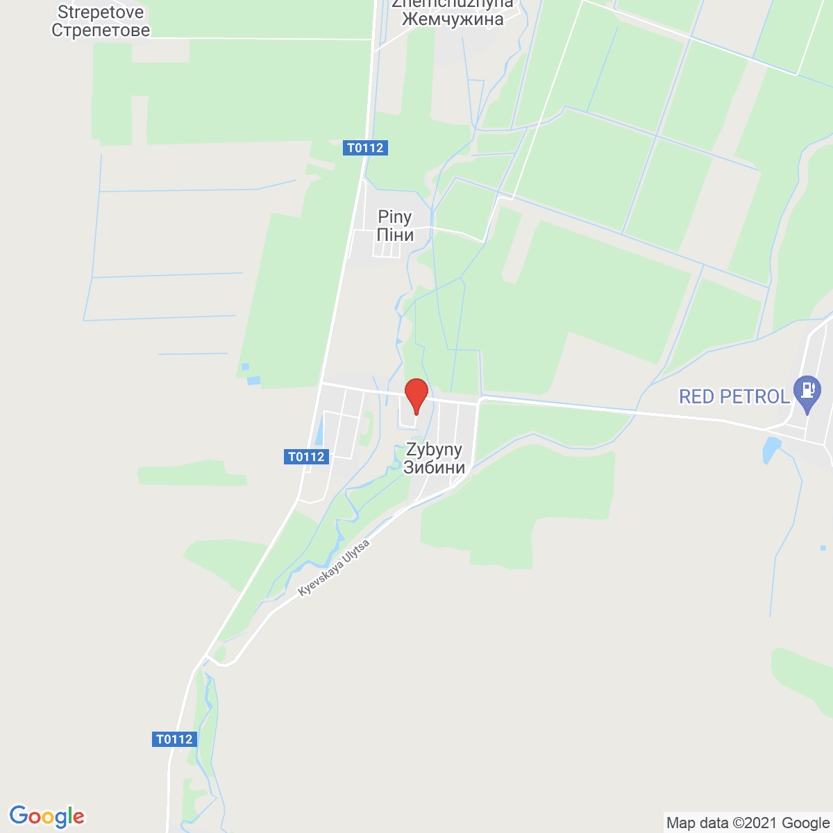Zybiny