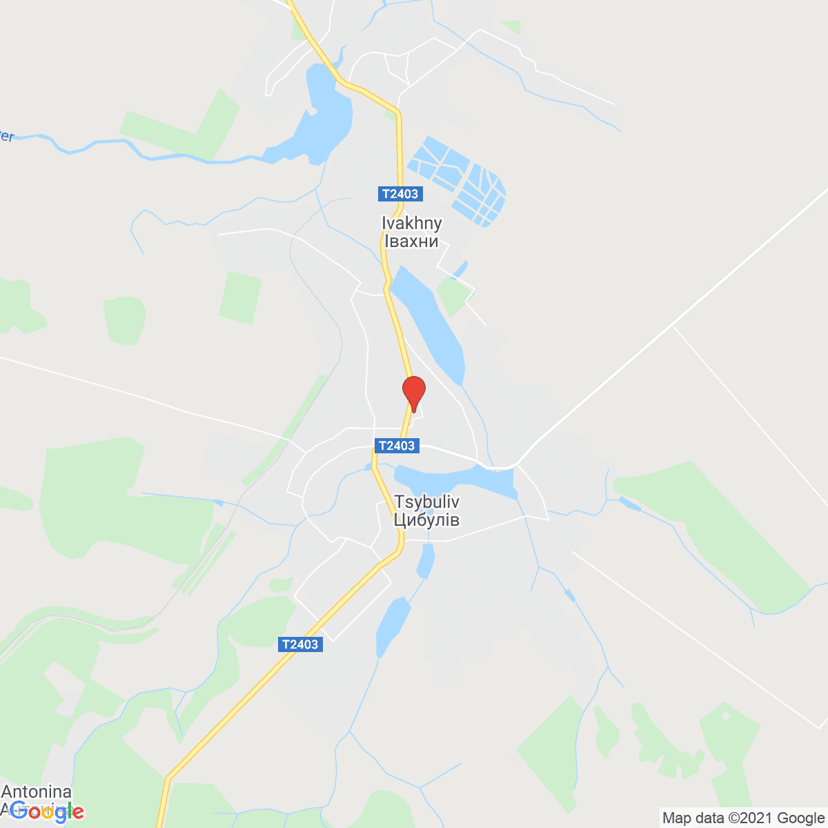 Tsibulev