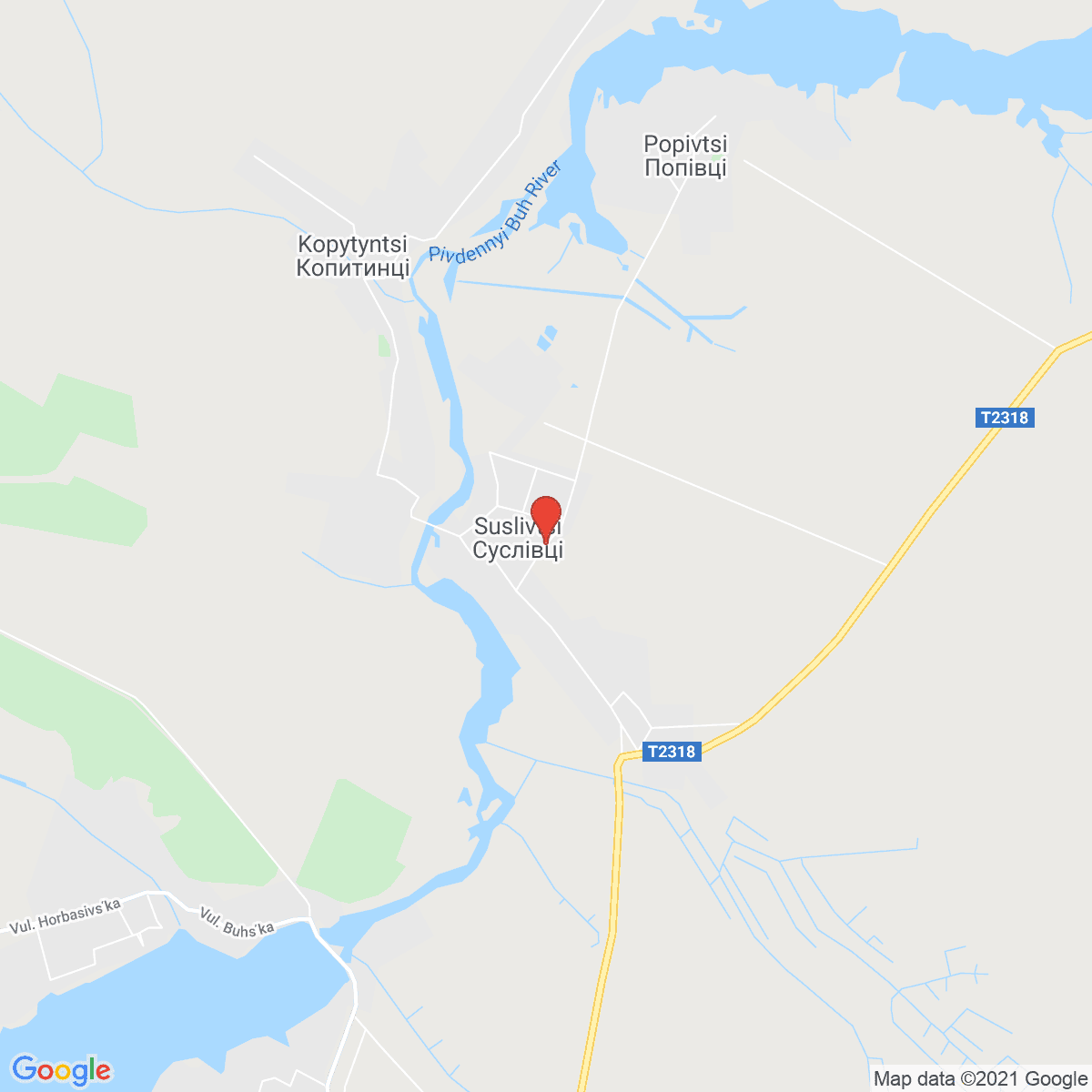 Suslivtsi