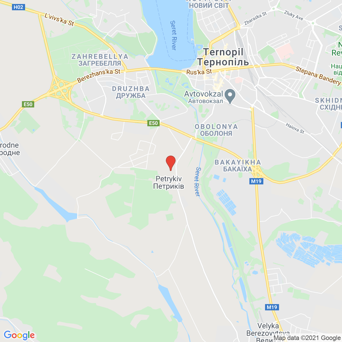 Petrikov