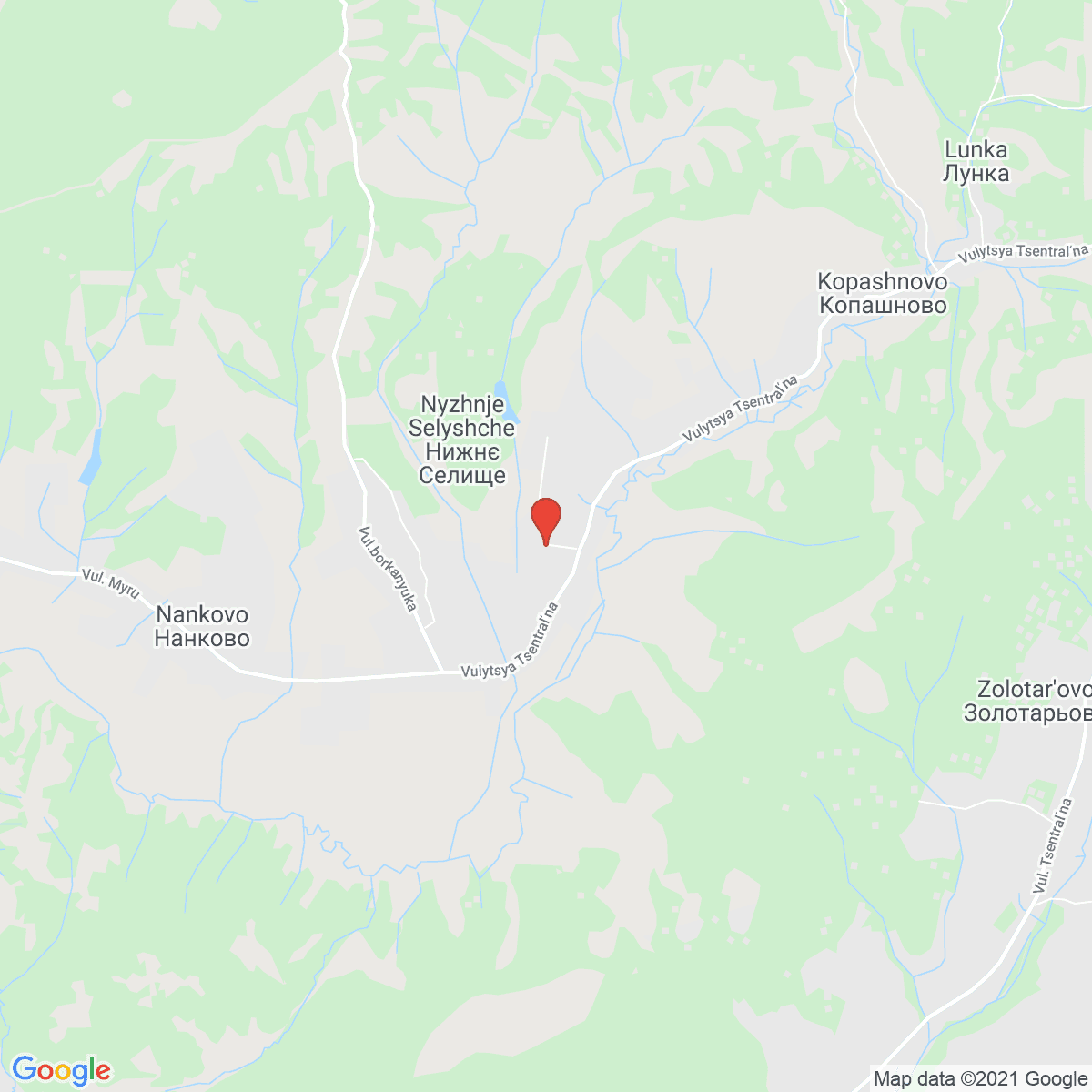 Nyzhnye Selyshche