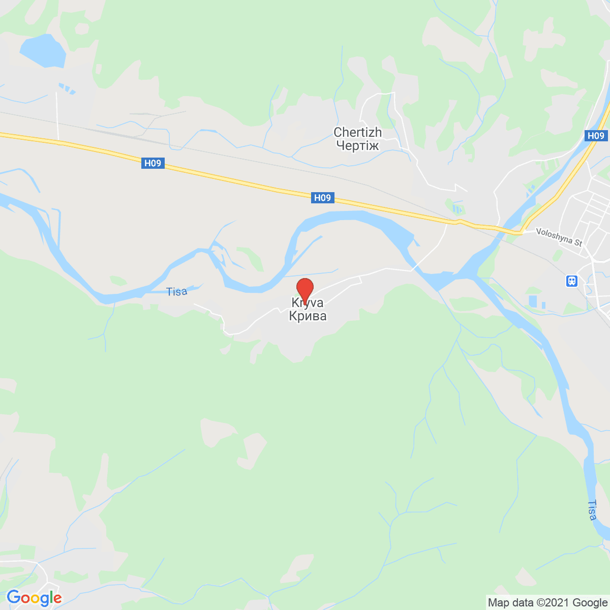 Kryva