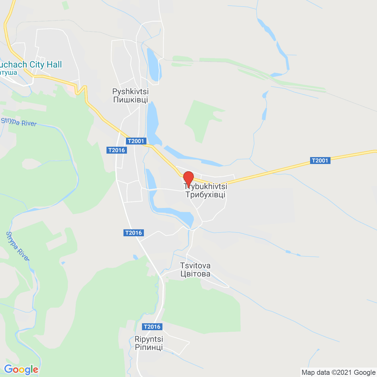 Druzhba
