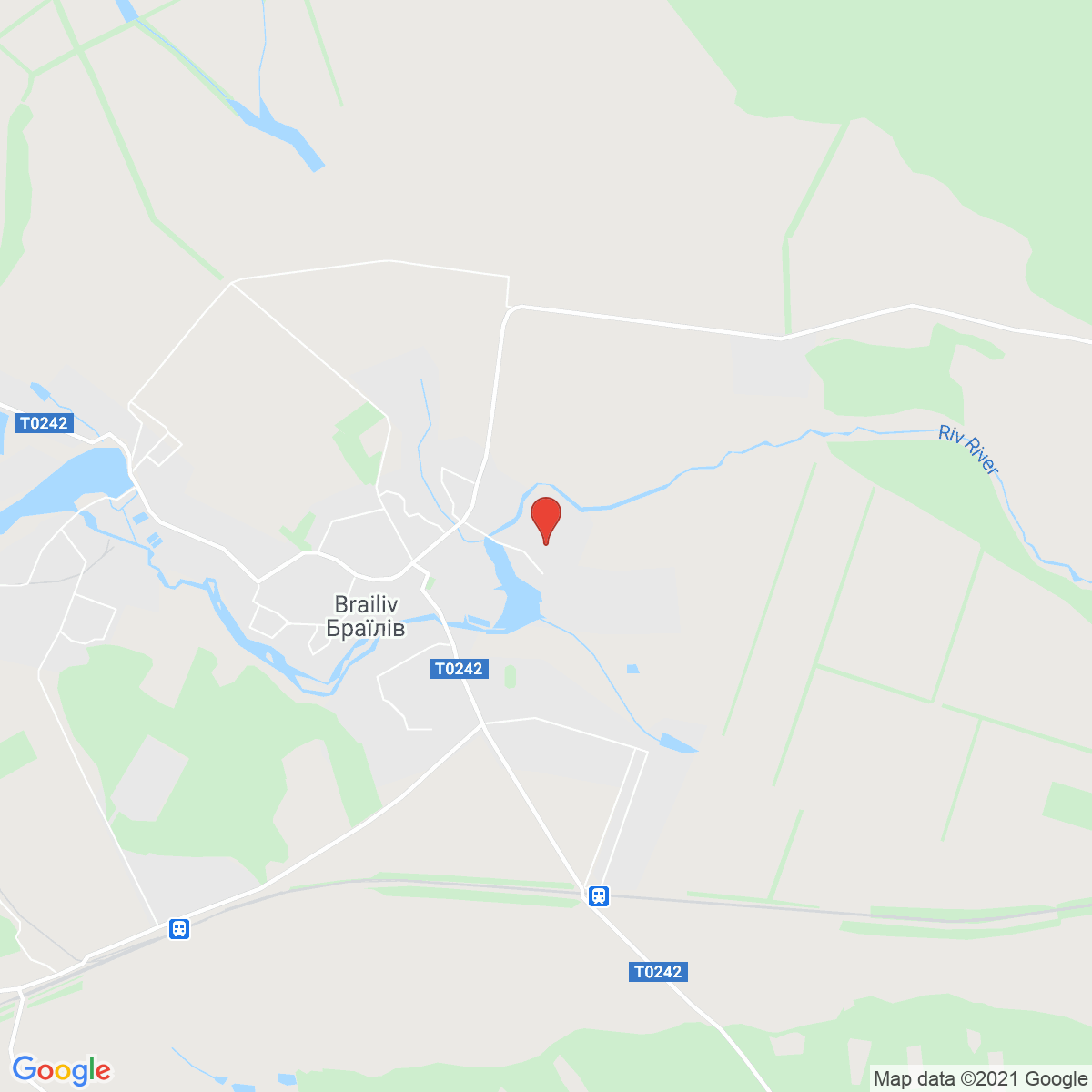 Brailiv