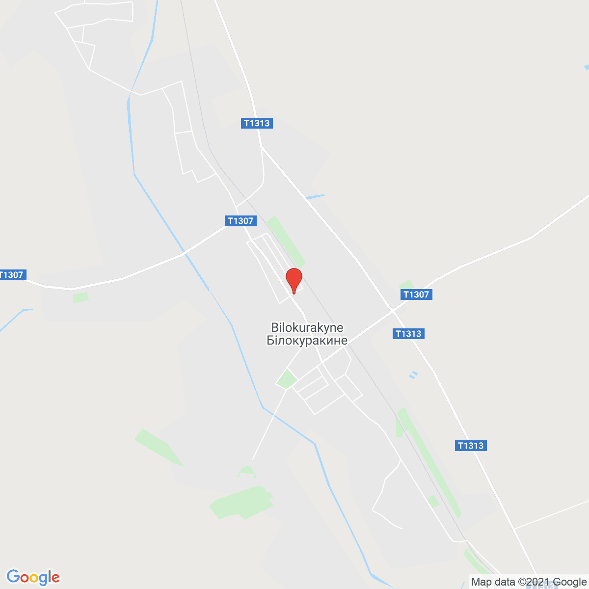 Bilokurakyne