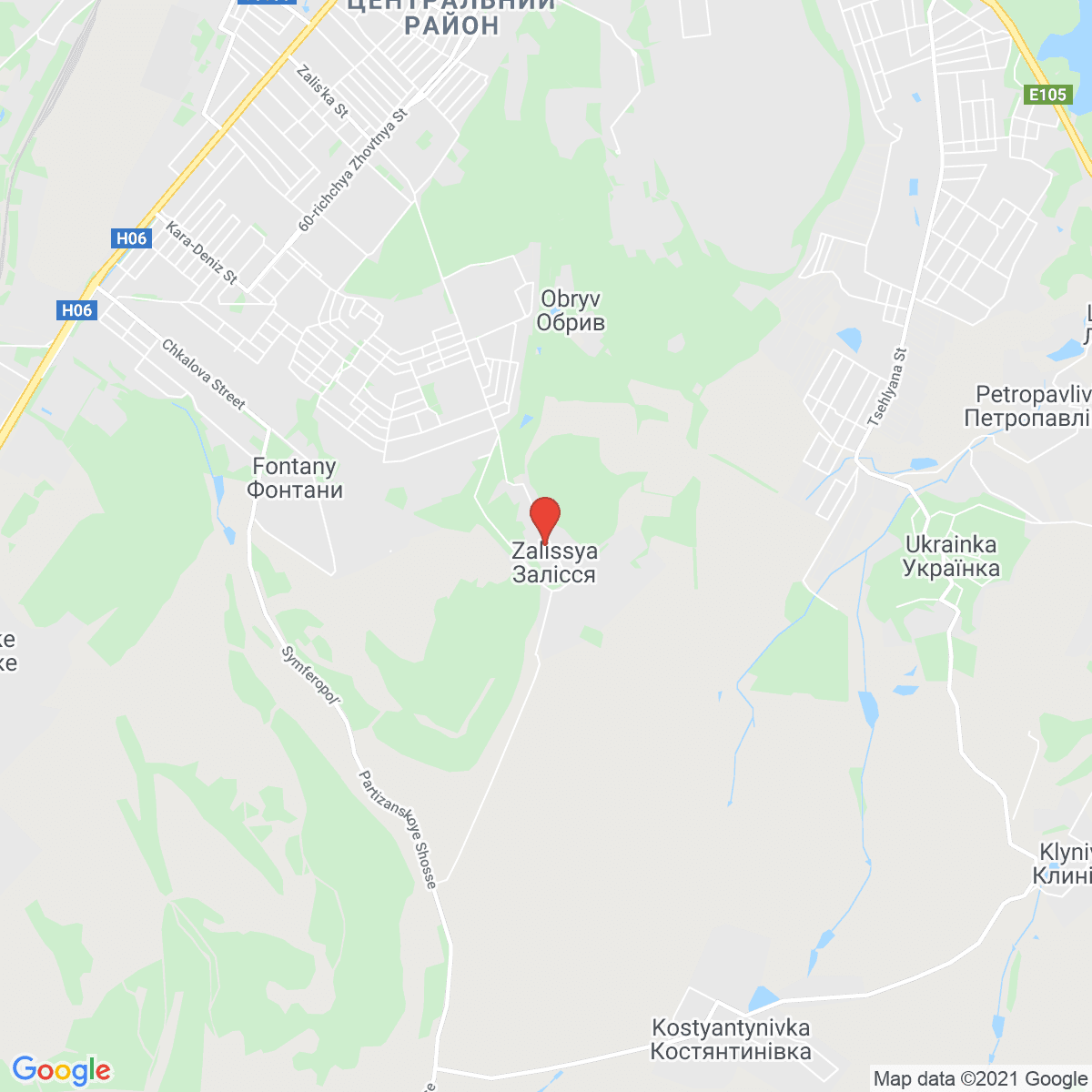 Zalesye
