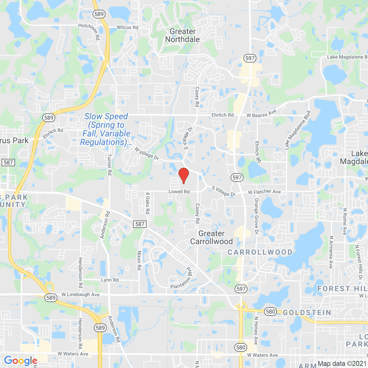 Carrollwood Village
