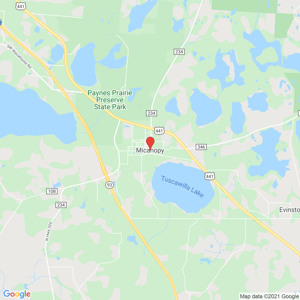 Micanopy