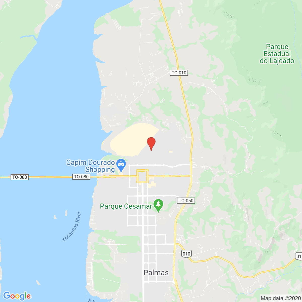 Palmas