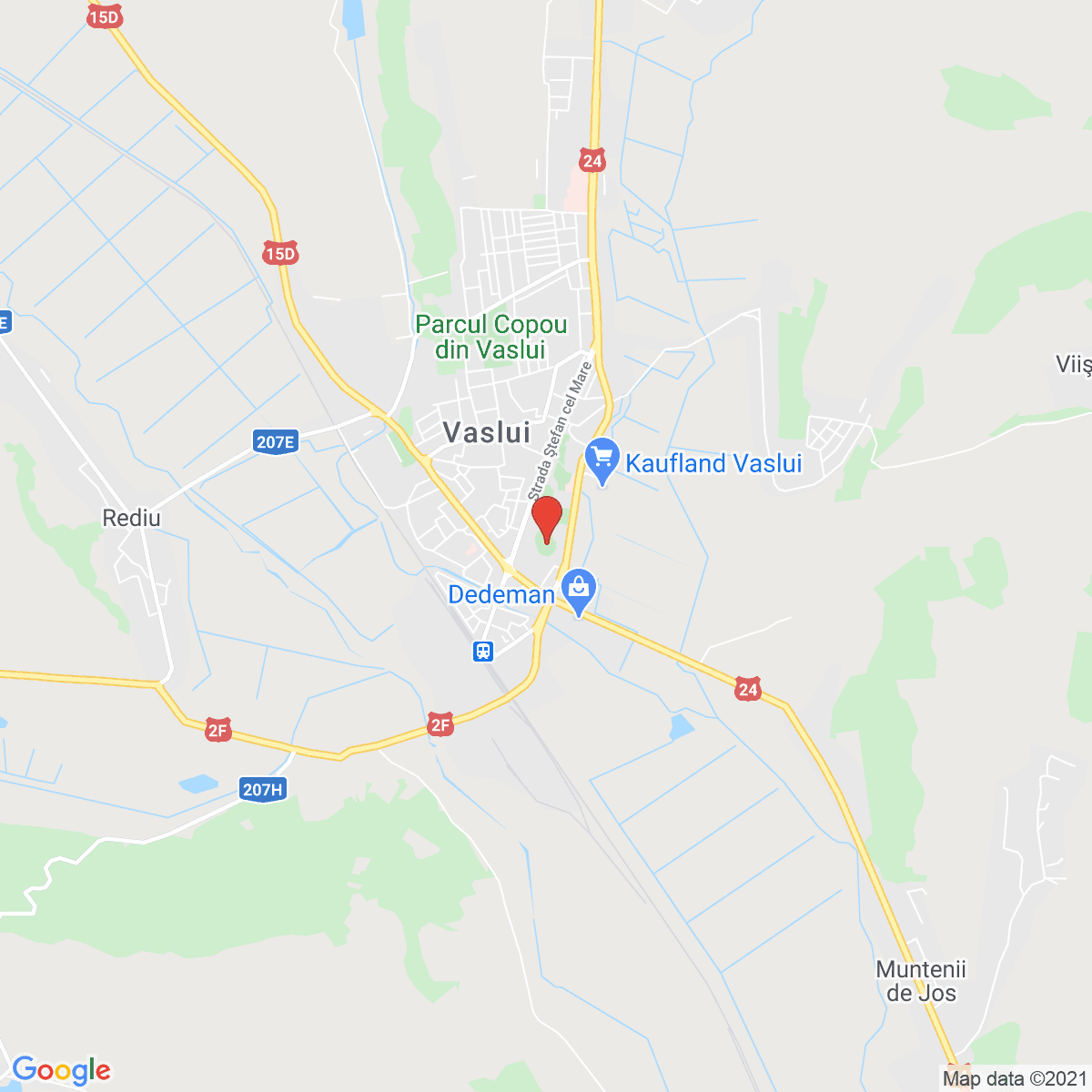 Vaslui