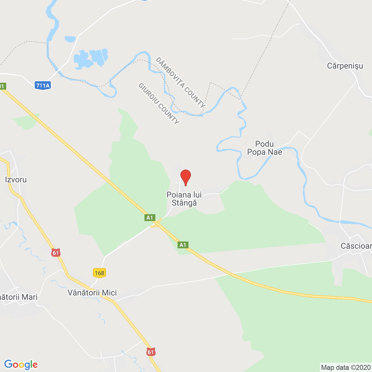 Poiana lui Stângă
