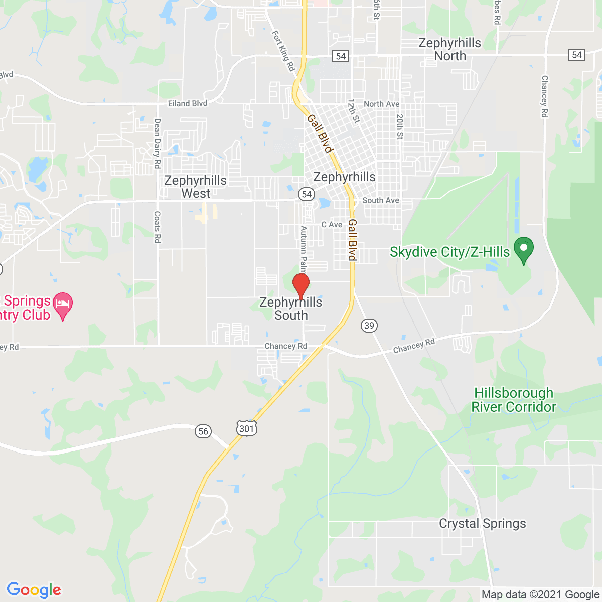 Zephyrhills South