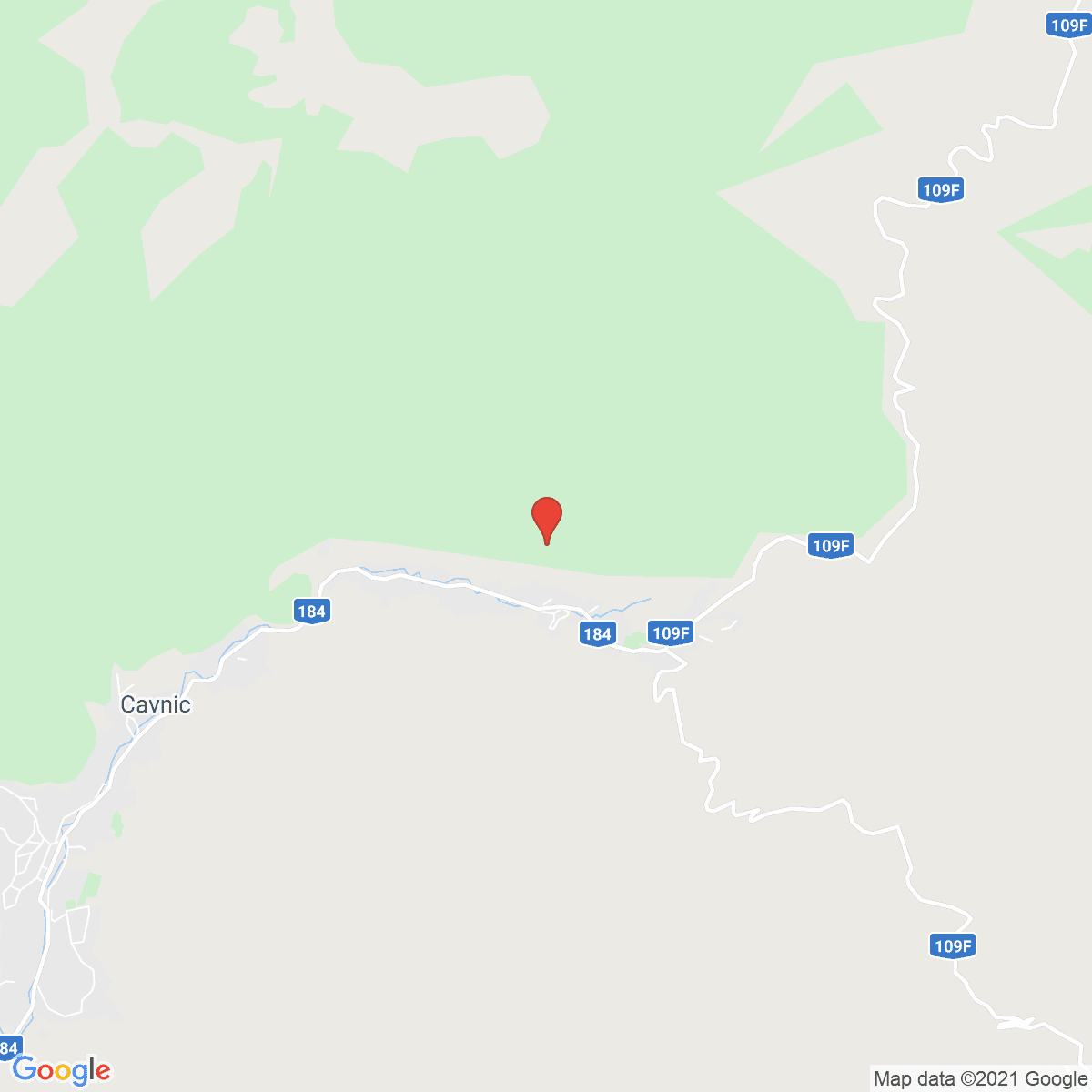 Cavnic