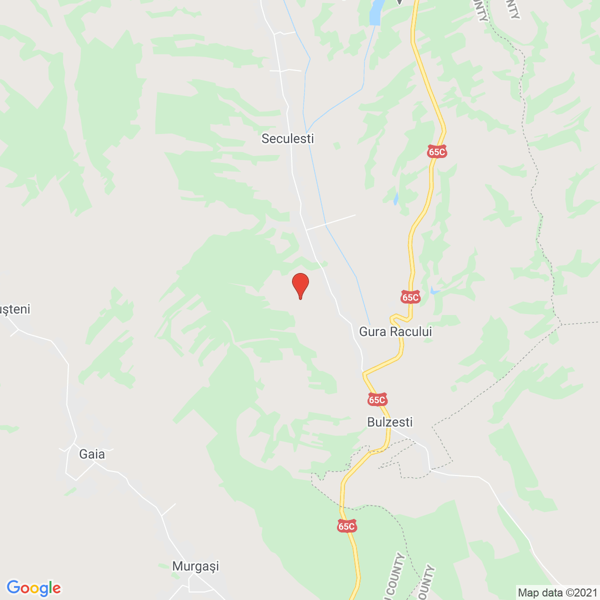 Bulzeşti