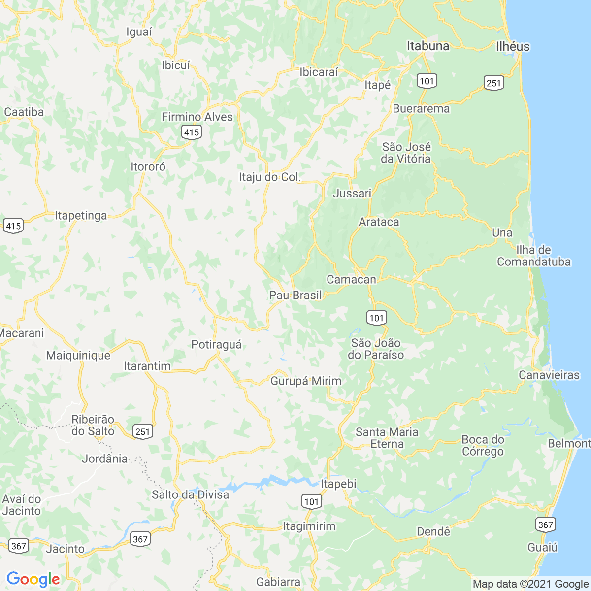 Pau Brasil