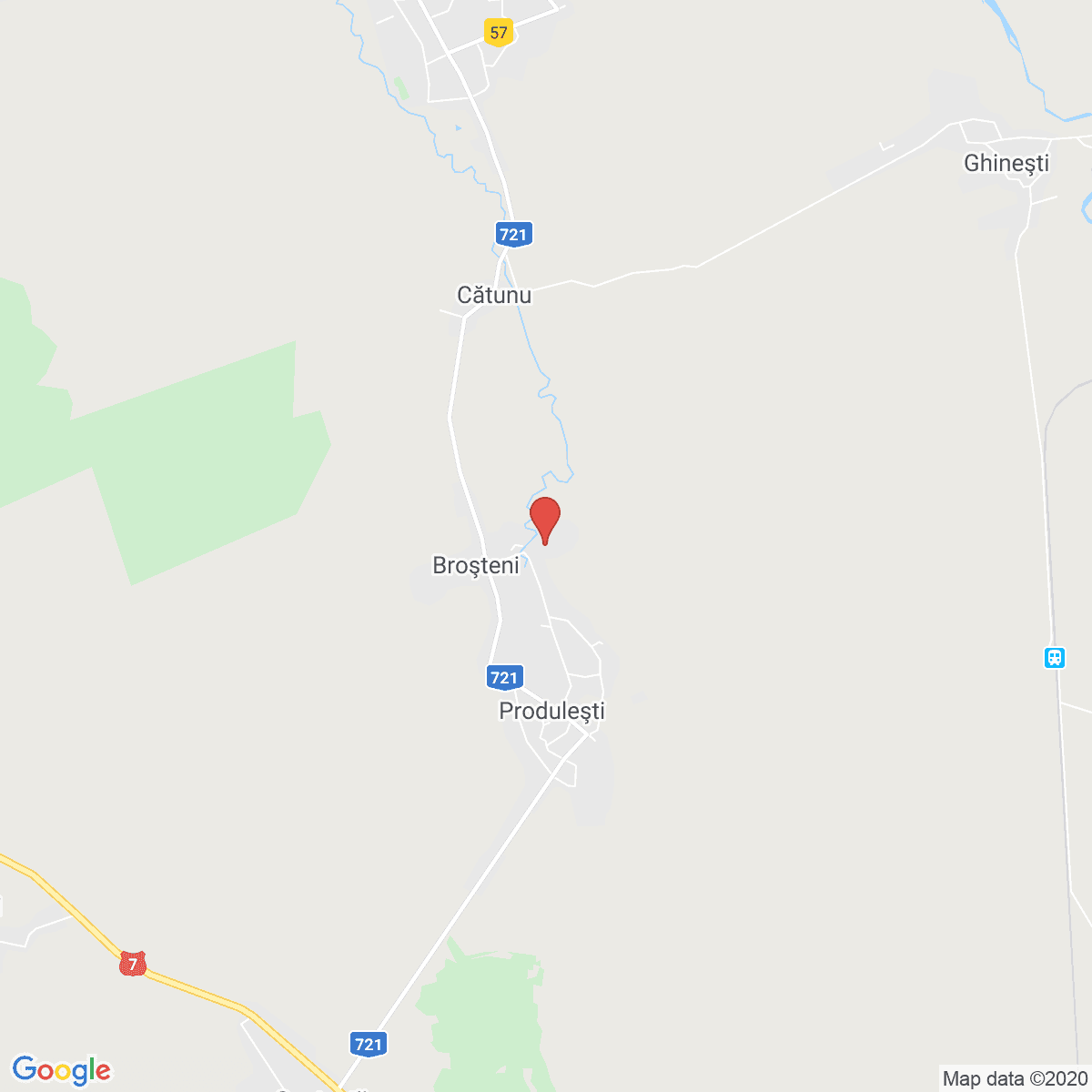 Broșteni