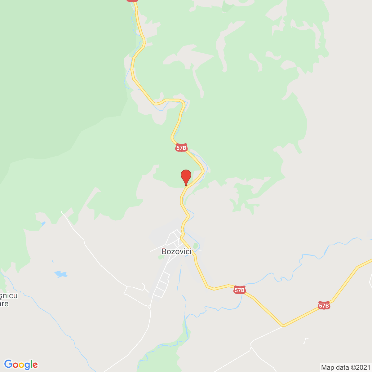 Bozovici