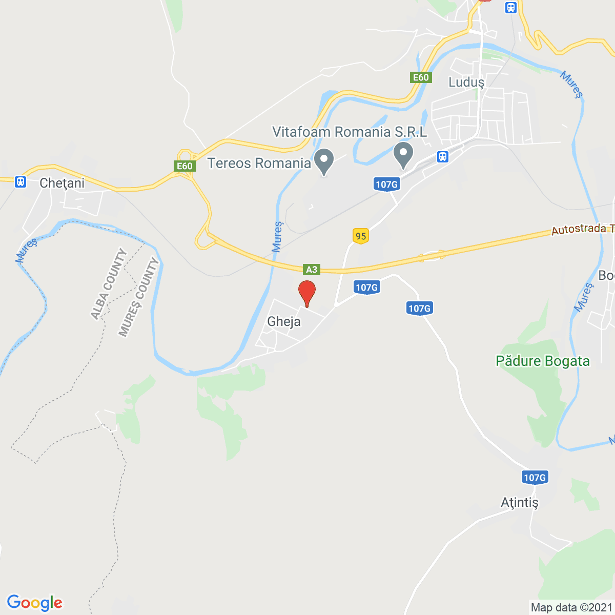 Bogata