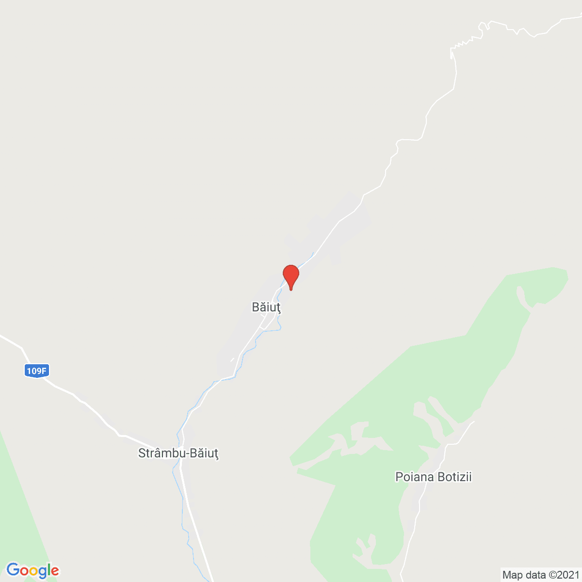 Băiuţ