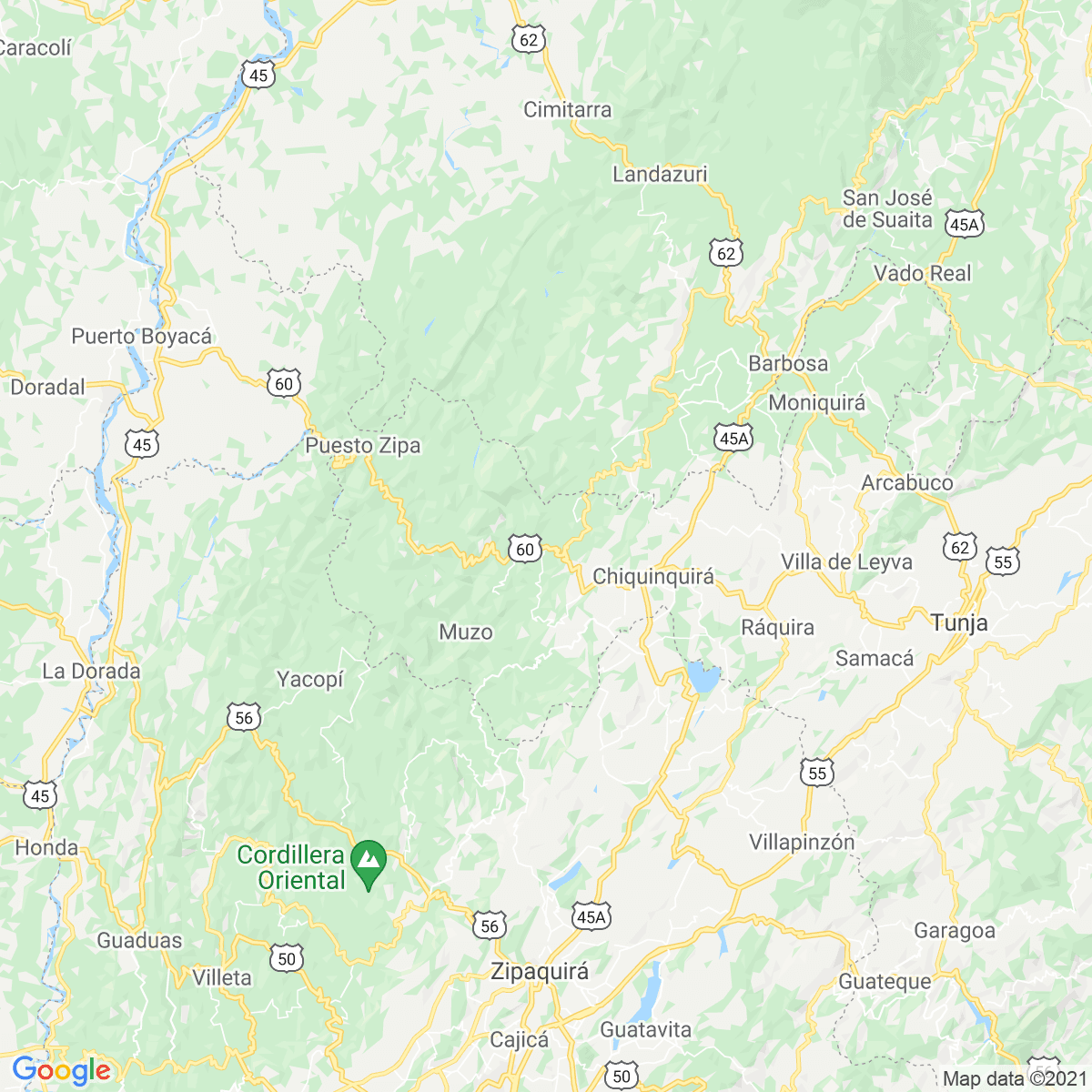 Pauna