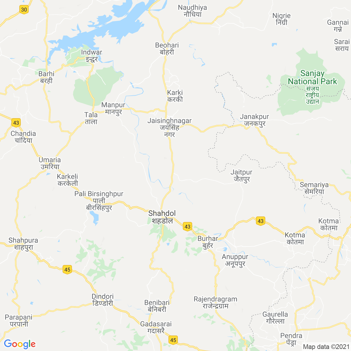 Shahdol