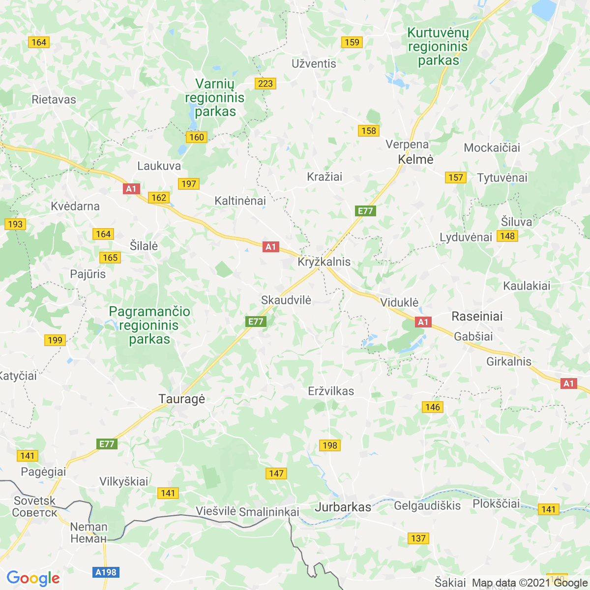 Tauragė