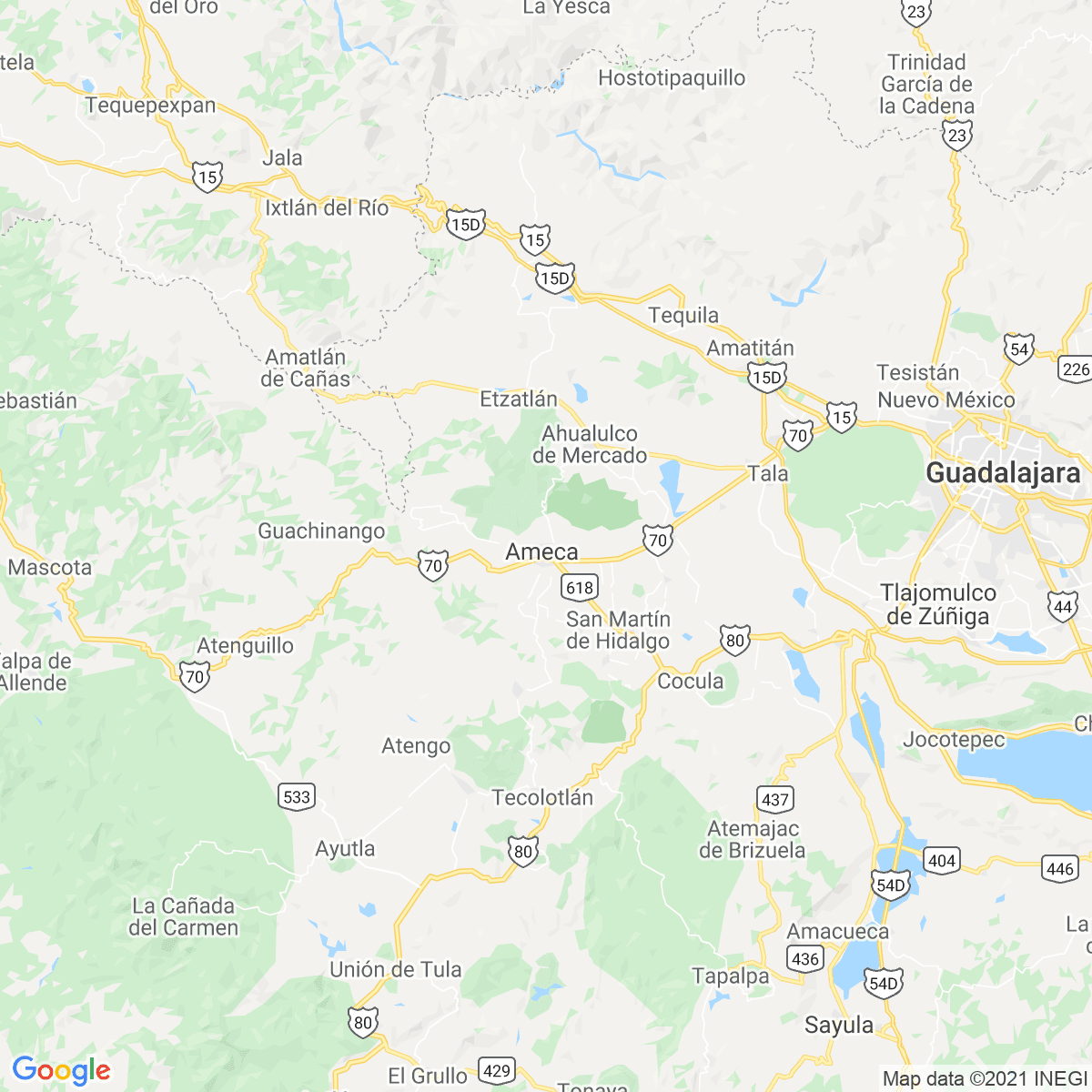 Ameca